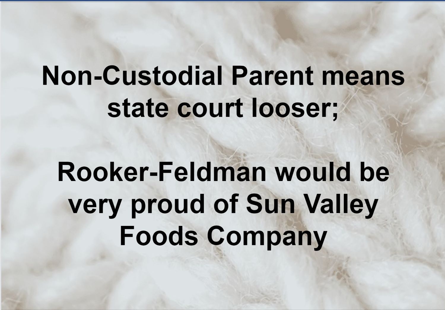 Non-Custodial Parent means state court looser Rooker-Feldman would be very proud of Sun Valley Foods Company small.jpg